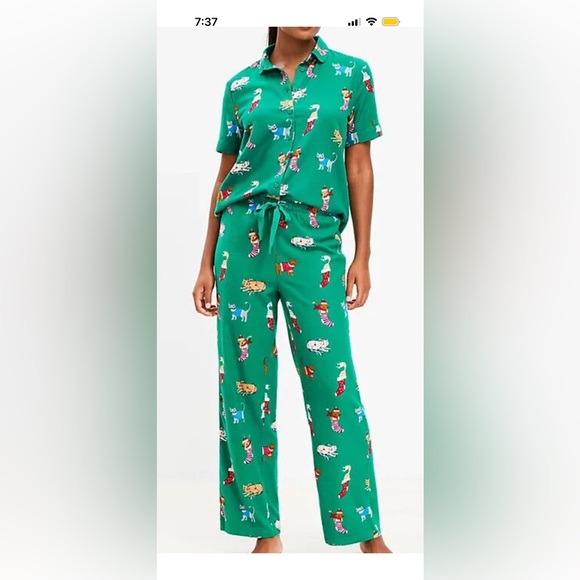 LOFT Other - LOFT Women's Pajama Set in Dark Green with Whimsical Animal Print